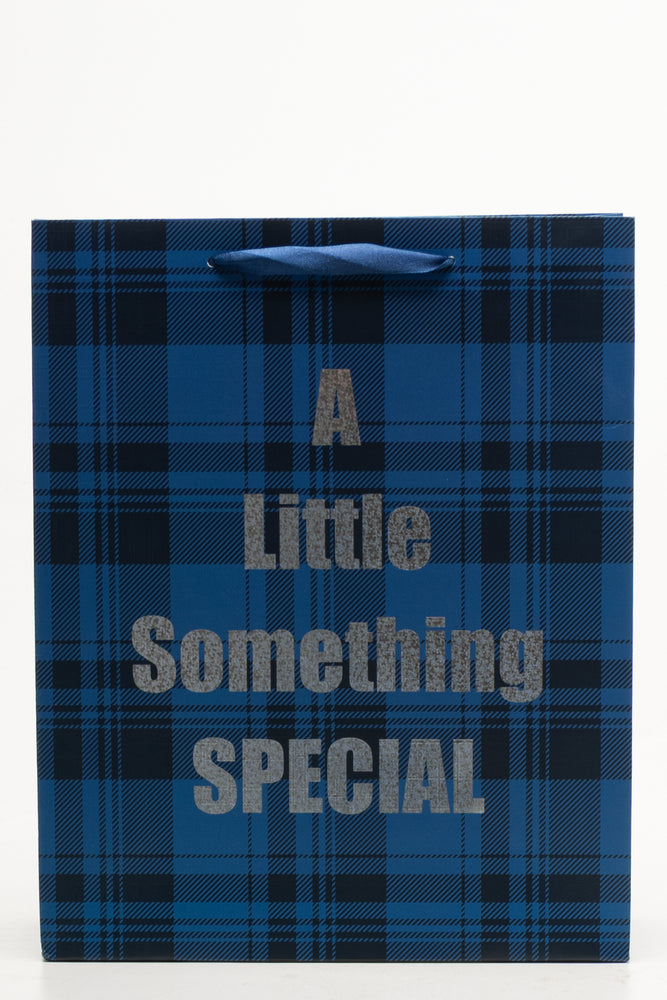 Check Paper Bag Large Navy
