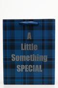 Check Paper Bag Large Navy
