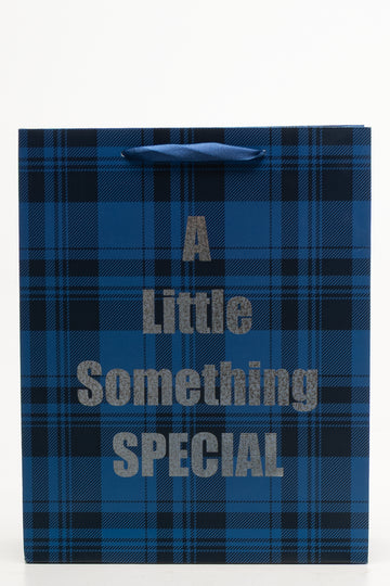 Check Paper Bag Large Navy