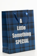 Check Paper Bag Large Navy (1)