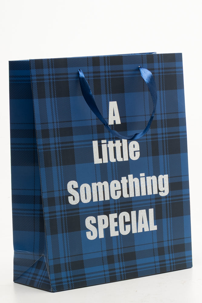 Check Paper Bag Large Navy (1)