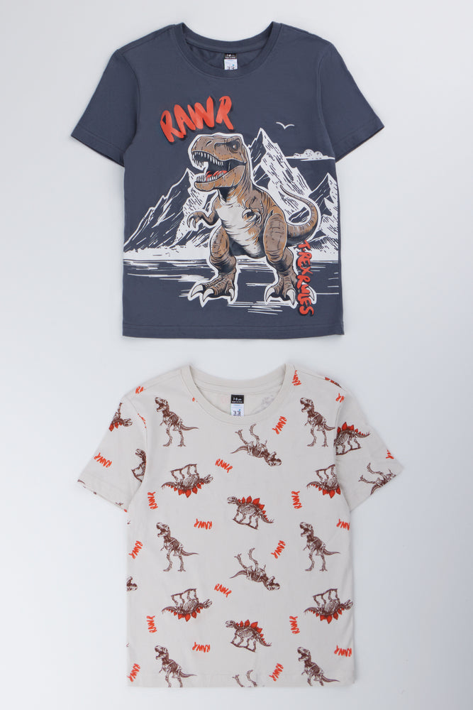 Boys Dinosaur Graphic T-Shirt Pack