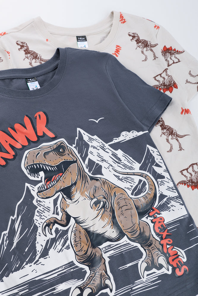 Boys Dinosaur Graphic T-Shirt Pack (1)