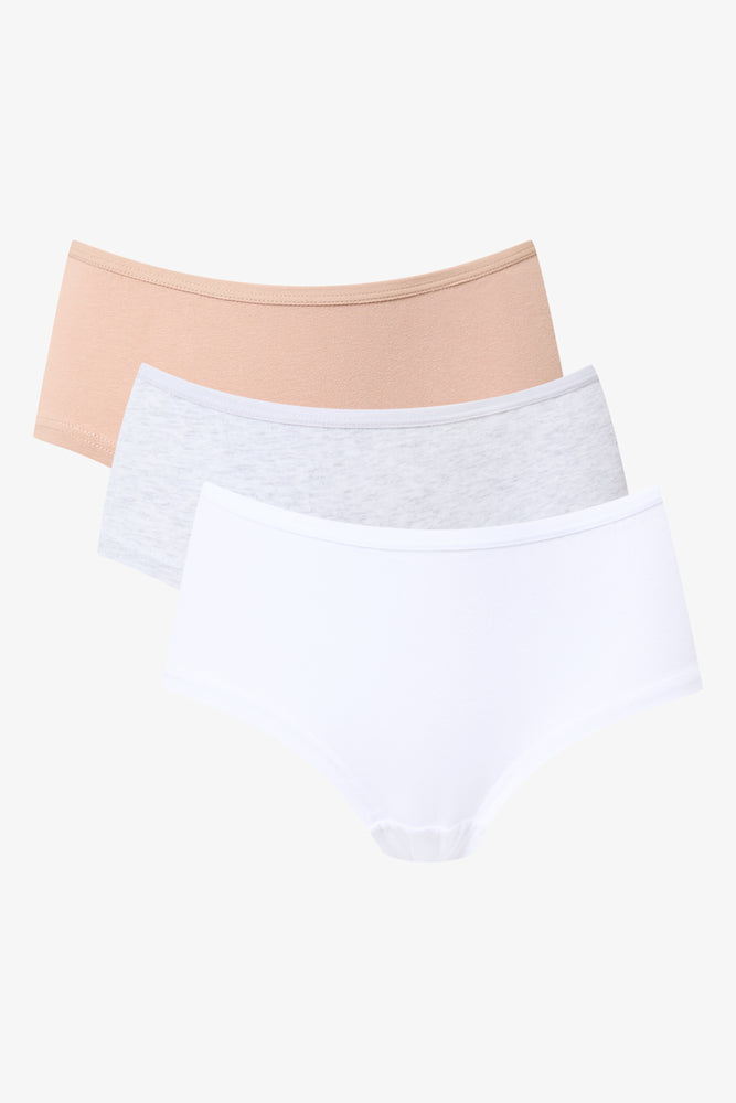 3 Pack Taupe Boyleg Underwear (1)