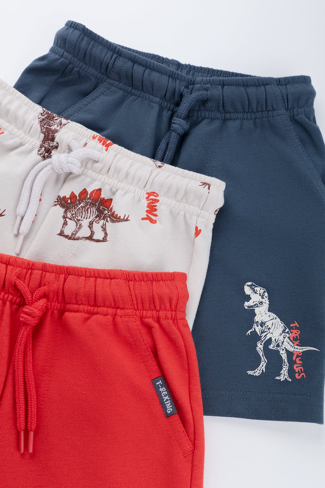 3 Pack Dinosaur Fleece Shorts (1)