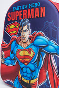 Superman Debossed Hero Backpack (3)