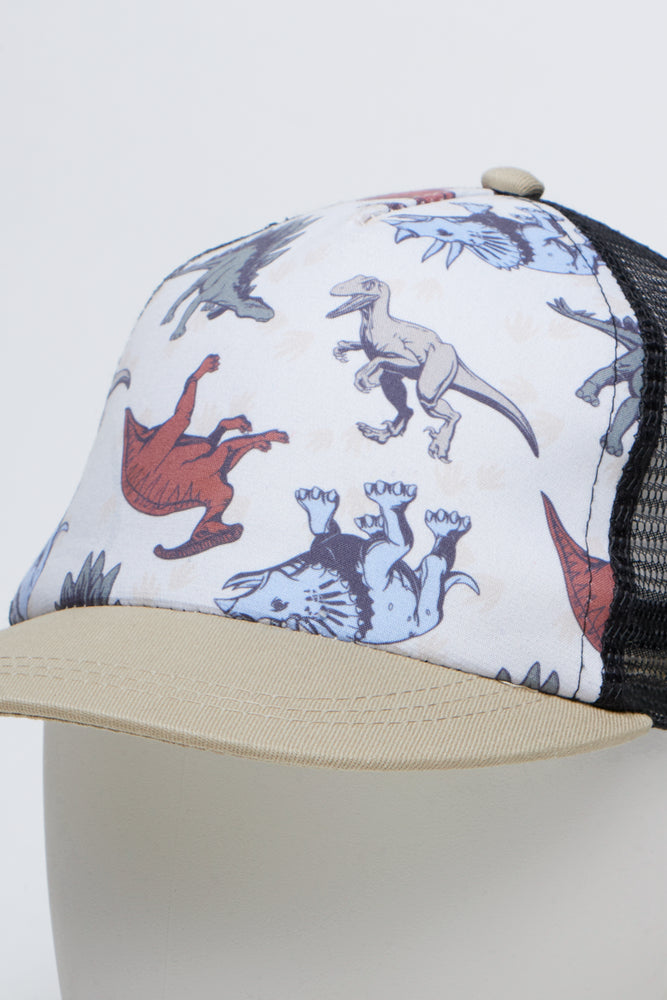 Dinosaur Print Cap Sunglasses Set (1)