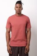 Rust Regular Fit T-Shirt