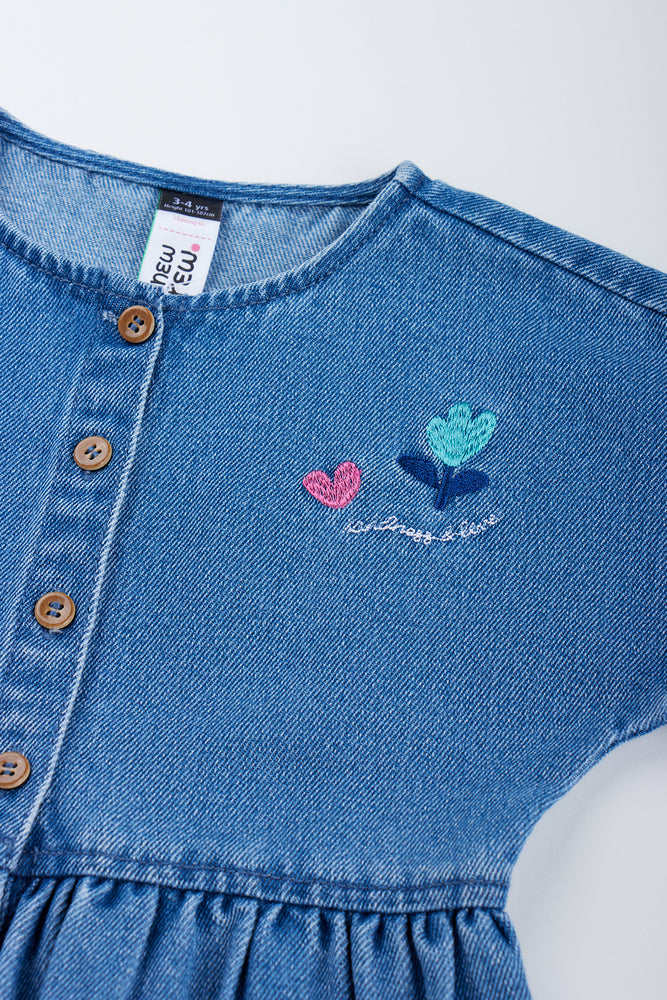 Embroidered Denim Button Up Dress (1)
