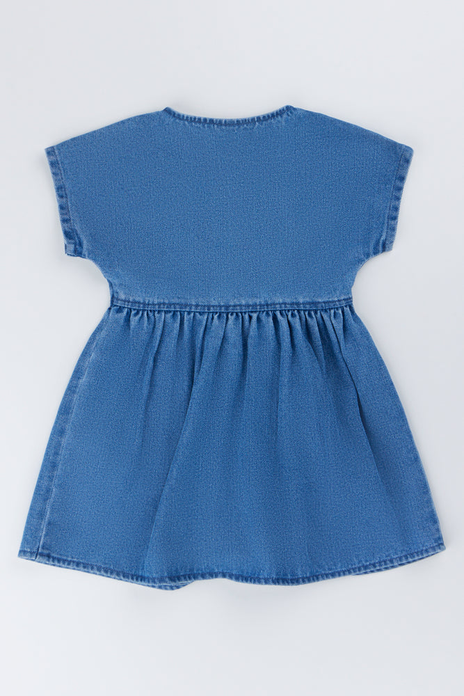 Embroidered Denim Button Up Dress (3)