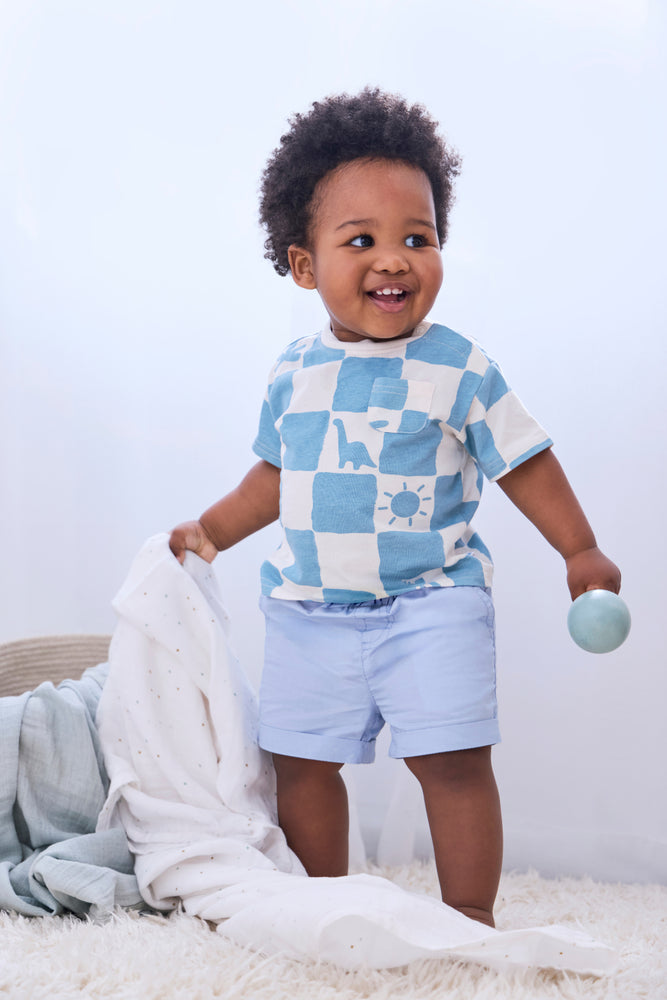 Baby Blue Dinosaur Check T-Shirt