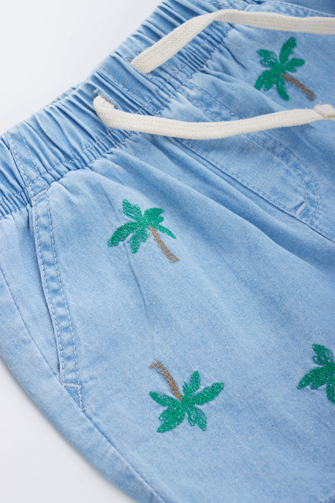 Blue Denim Embroidered Shorts (1)