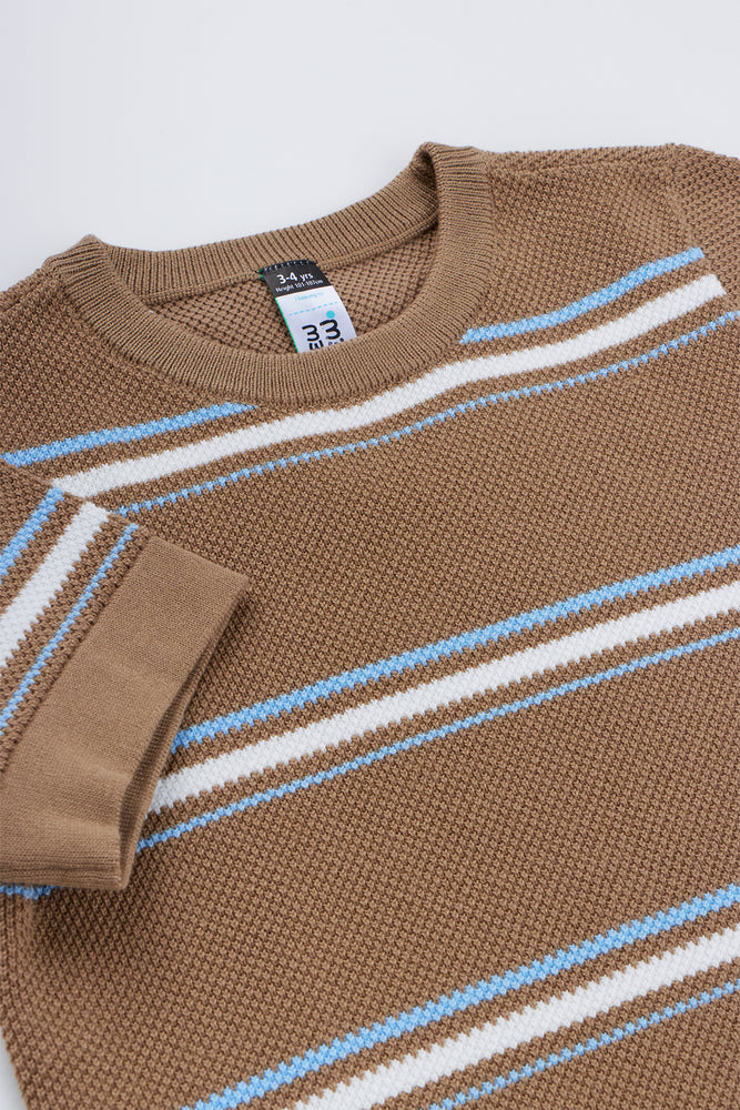 Taupe Striped Knit Crew Neck Top (1)