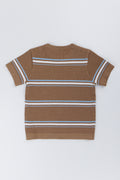 Taupe Striped Knit Crew Neck Top (2)