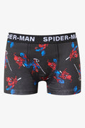 Spider-Man 2 Pack Knit Boxers (3)