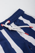 Navy Striped Swim Shorts (1)