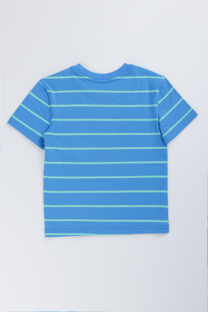 Blue Striped Short Sleeve T-Shirt (2)