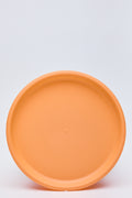 6 Pack Brights Plastic Plates (1)