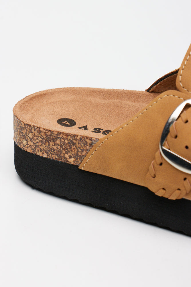 Camel Platform Mule (3)
