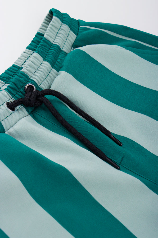 Green Striped Graphic Shorts (1)