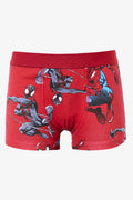 Spider-Man 2 Pack Knit Boxers (1)