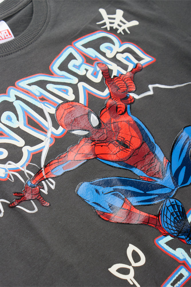 Spider-Man Dark Grey Graphic T-Shirt (1)